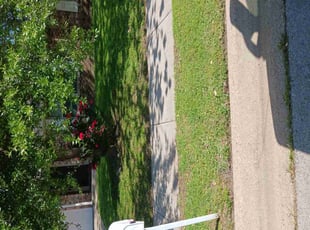 Andrea V.'s turf maintenance service result