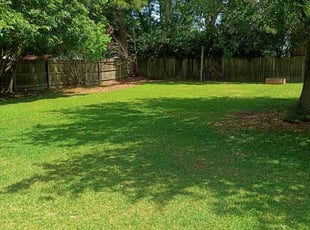 Latonger R.'s turf maintenance service result