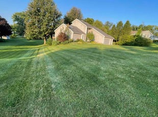 Mario A.'s turf care service result