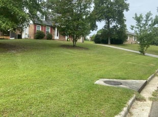 Jabari C.'s lawn maintenance service result