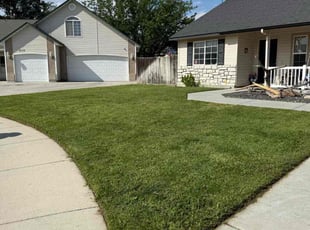 Rosy P.'s lawn care service result
