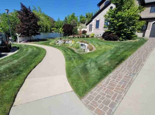 Jarrod G.'s grass maintenance service result