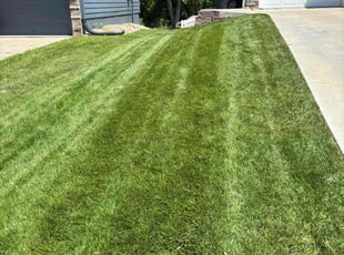 Stacey G.'s lawn care services service result