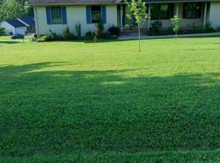 Mijung K.'s grass maintenance service result