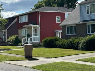 Howard D.'s turf care service result