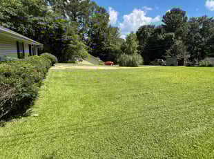 Skylar R.'s grass maintenance service result