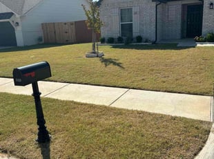 Danna T.'s turf care service result