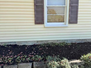 Chad M.'s grass cutting service result