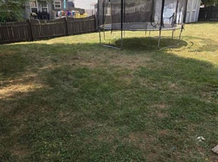 Joshua B.'s turf maintenance service result