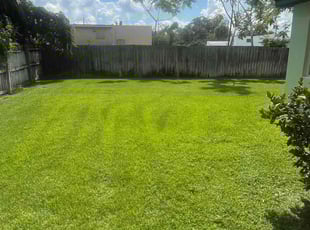 Jared R.'s grass maintenance service result