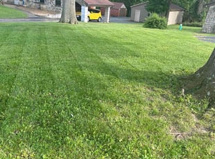 Shawna J.'s lawn care services service result