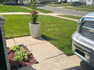 Jorge R.'s lawn care service result