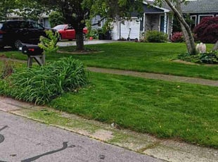 Kenya L.'s turf maintenance service result