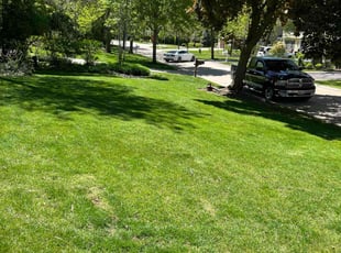 Lisa C.'s lawn care services service result