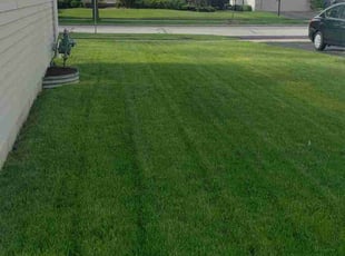 Katherine K.'s lawn care service result