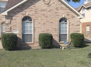 Shehraze S.'s lawn service service result