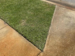 Varsha s.'s turf care service result