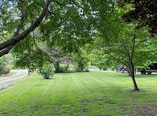 Brian M.'s grass cutting service result