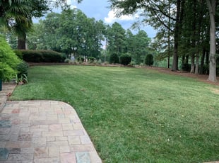 Raleigh R.'s lawn care service result