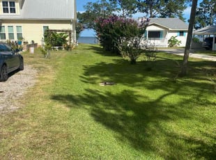 Maryke E.'s landscaping services service result