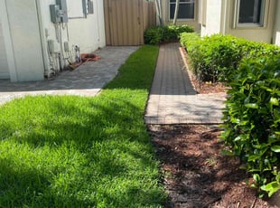 Brian S.'s lawn care service result