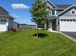 Kathleen D.'s turf maintenance service result