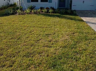 Scott H.'s grass maintenance service result