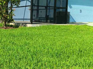 Charles D.'s lawn service service result