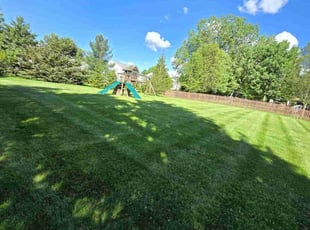 Tanya R.'s turf maintenance service result