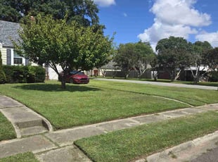 Rhonda L.'s turf care service result