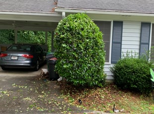 Robert S.'s Bush Trimming service result