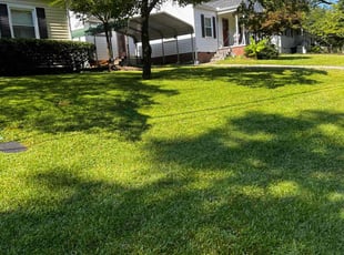 Christian M.'s grass cutting service result