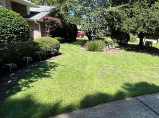 Ben W.'s lawn service service result