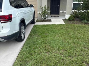 Teresa L.'s grass cutting service result