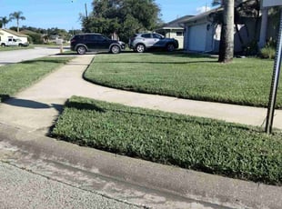 ROBERT C.'s grass cutting service result