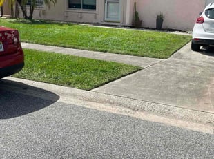Adam S.'s turf care service result