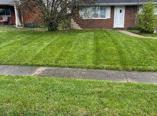 Kirt B.'s grass cutting service result