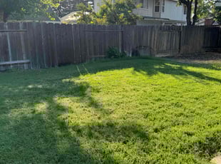 Tydia H.'s lawn care services service result