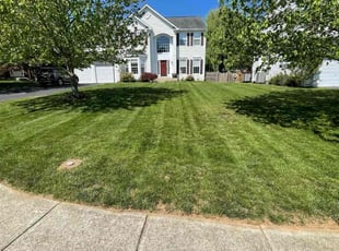 Teri B.'s grass cutting service result