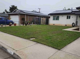 Johnnie N.'s grass cutting service result