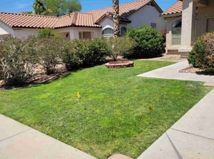 Lorri S.'s grass maintenance service result