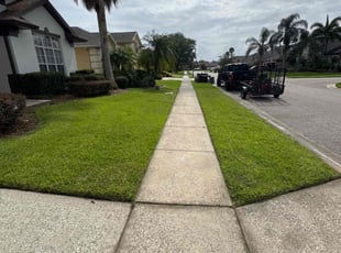 Iris C.'s grass cutting service result