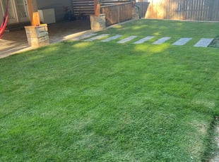 Kaila T.'s lawn care service result