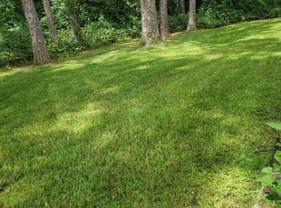 Jake F.'s lawn care services service result