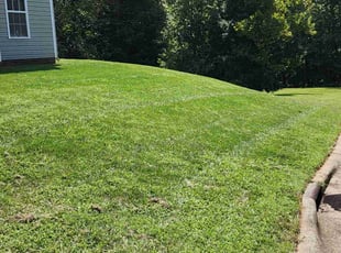 Phillip B.'s turf maintenance service result