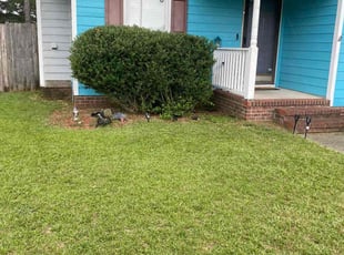 Hal M.'s lawn maintenance service result