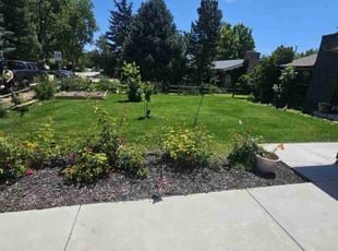 Bre-Ann R.'s turf care service result