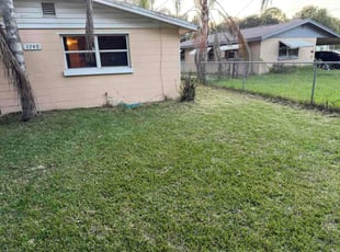 Gina M.'s Long Grass Cleanup service result