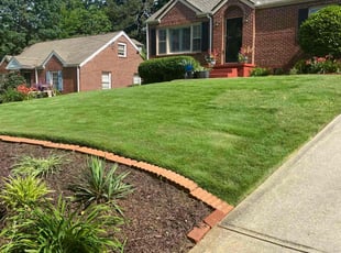 Dianna D.'s turf maintenance service result