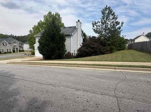 Aitor J.'s lawn service service result